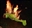 Samuel_is_a_mess's avatar