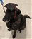 Fjsldbdifjrndl's avatar