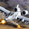 BrrtWarthog's avatar