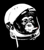 JRandom05's avatar