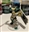 Balianor's avatar