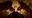 Pycoso's avatar