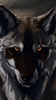 AriZev's avatar