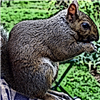 tdouglas's avatar