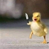 saddduck's avatar