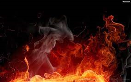 Elliot's Wild Fire Barbarian Image
