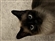 Outlawskies's avatar
