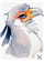 Chinchilla_grl's avatar