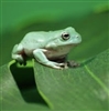 Twisted79's avatar