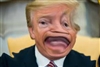 Psychopathotical's avatar