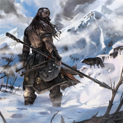 Arctic Drifter Image