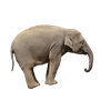 Snuffalufagis's avatar