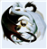 Gilrad's avatar