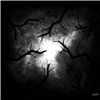 Urobelus's avatar