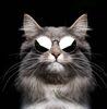 IzNonyaBidness's avatar