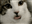 mrmartan's avatar