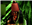 Batoziac's avatar
