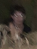 Tree_the_queer_druid's avatar