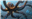 Glazedspurro's avatar