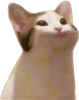 prems0ul's avatar