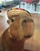 BloodRedAmethyst's avatar