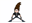 artmcmahon's avatar