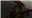 FIGHT_ER_MAN's avatar