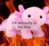 dadonai's avatar