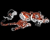 amd013's avatar