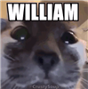 GermanGamer7's avatar
