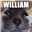 GermanGamer7's avatar