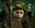 Sardimoss's avatar