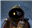 DroAtl2000's avatar