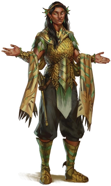 Dragon Blessed Domain Image