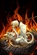 Lady_Nary's avatar
