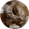 Sparkletinkercat's avatar