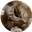 Sparkletinkercat's avatar