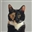 Tulahascookies's avatar