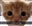 Guava_the_Toucan's avatar