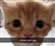 Guava_the_Toucan's avatar