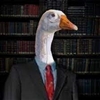 BusinessGoose65's avatar