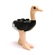 RavenclawErudite's avatar