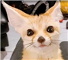 Largelad05's avatar