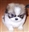 NoBiscuit's avatar
