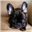 ApacheUchiha's avatar