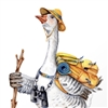 Grey1029's avatar