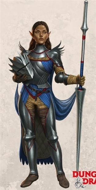 Falcon Knight Image