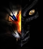 Drake_Silvack's avatar
