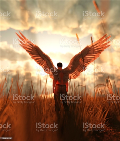 Fallen Celestial Image