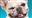 Sluffmo's avatar